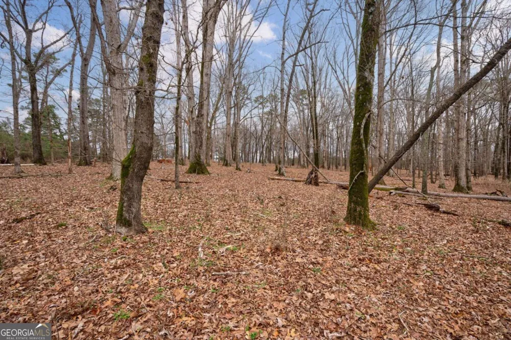 TRACT 3 High Shoals RD Bishop, GA 30621