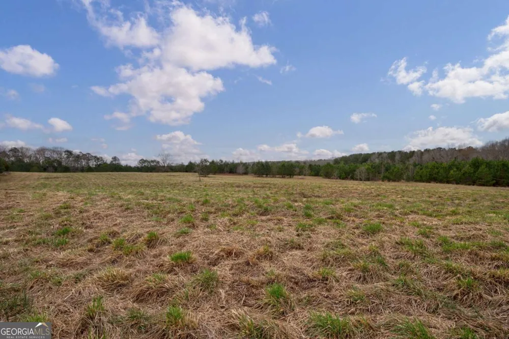TRACT 1-A High Shoals RD Bishop, GA 30621