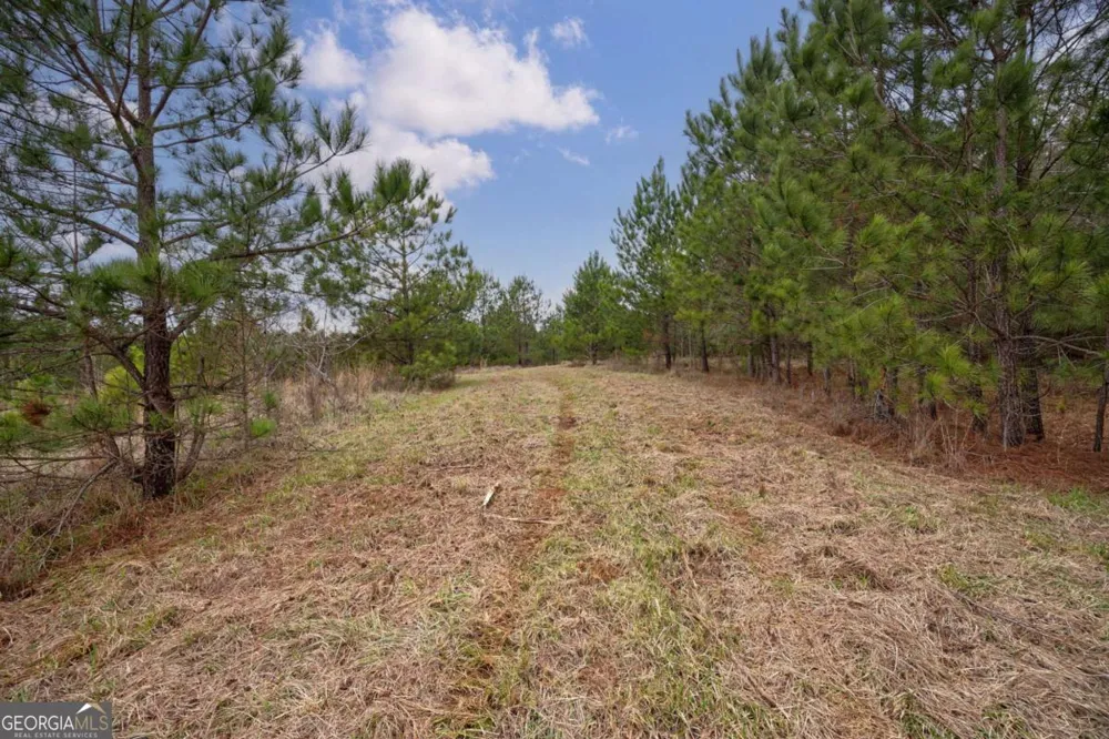 TRACT 1-A High Shoals RD Bishop, GA 30621