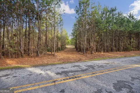 TRACT 1-B High Shoals RD