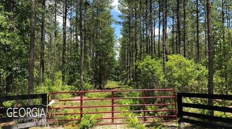 LOT 1 Baker Blvd/cr 4 St. George, GA 31562