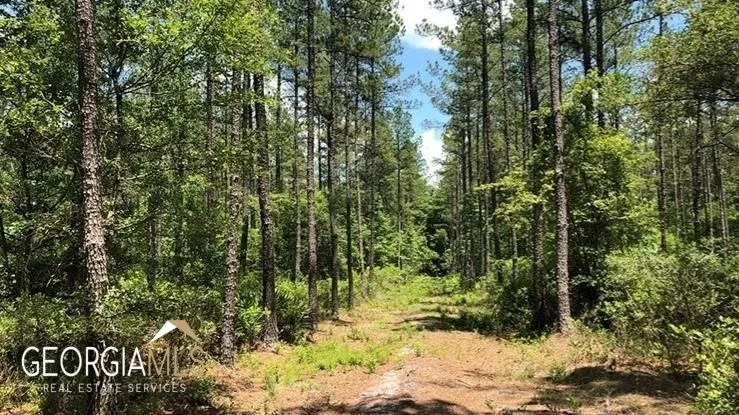 LOT 1 Baker Blvd/cr 4 St. George, GA 31562