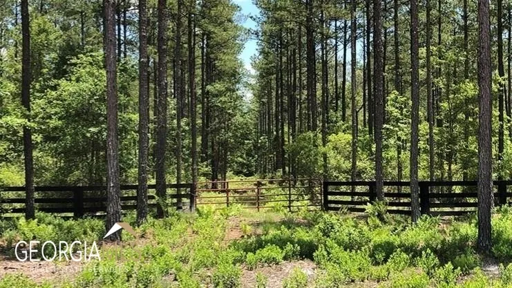 LOT 1 Baker Blvd/cr 4 St. George, GA 31562
