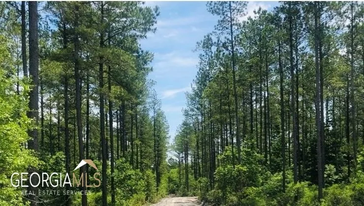 LOT 1 Baker Blvd/cr 4 St. George, GA 31562