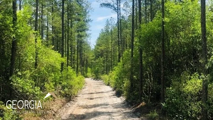 LOT 1 Baker Blvd/cr 4 St. George, GA 31562