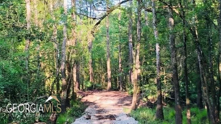 LOT 1 Baker Blvd/cr 4 St. George, GA 31562