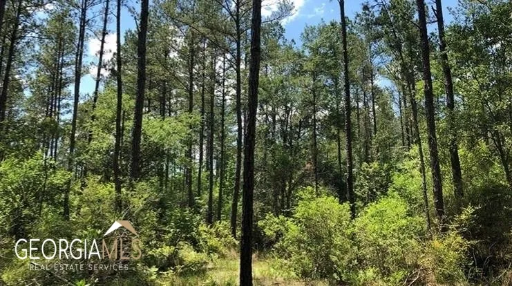 LOT 1 Baker Blvd/cr 4 St. George, GA 31562