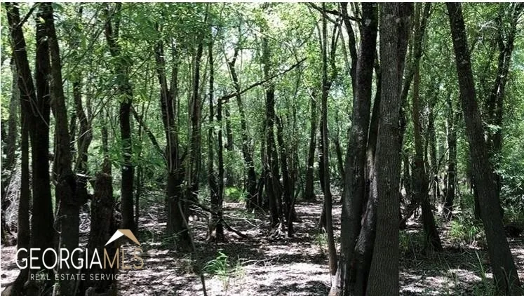 LOT 1 Baker Blvd/cr 4 St. George, GA 31562