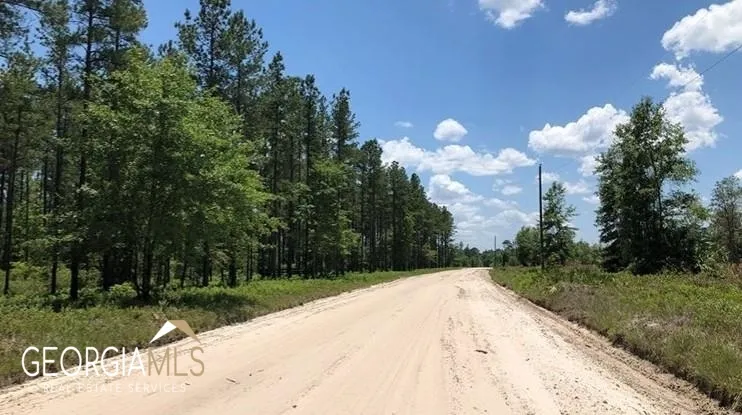 LOT 1 Baker Blvd/cr 4 St. George, GA 31562