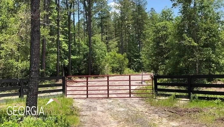 LOT 2 Baker Blvd/cr 4 St. George, GA 31562