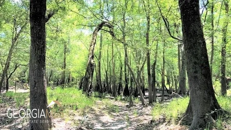 LOT 2 Baker Blvd/cr 4 St. George, GA 31562
