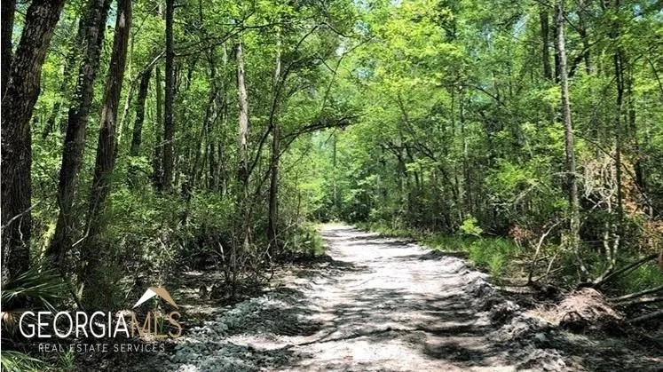 LOT 2 Baker Blvd/cr 4 St. George, GA 31562