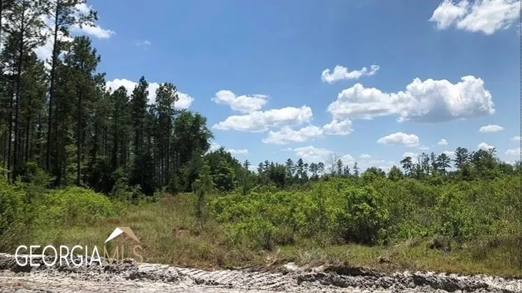 LOT 2 Baker Blvd/cr 4 St. George, GA 31562