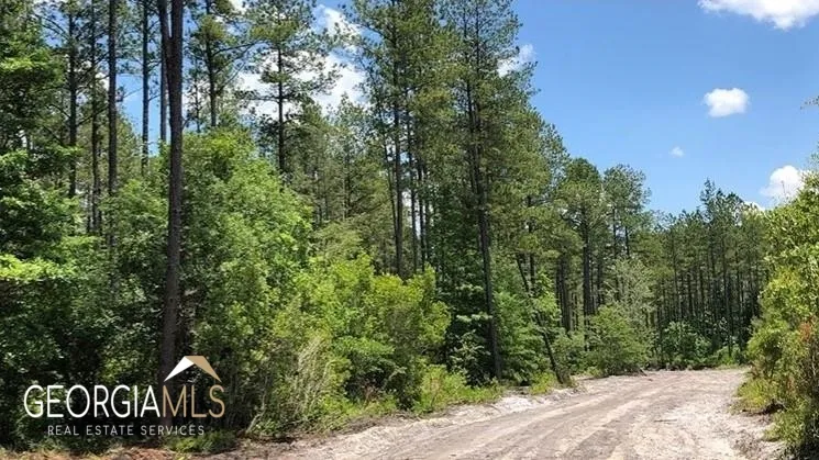 LOT 2 Baker Blvd/cr 4 St. George, GA 31562