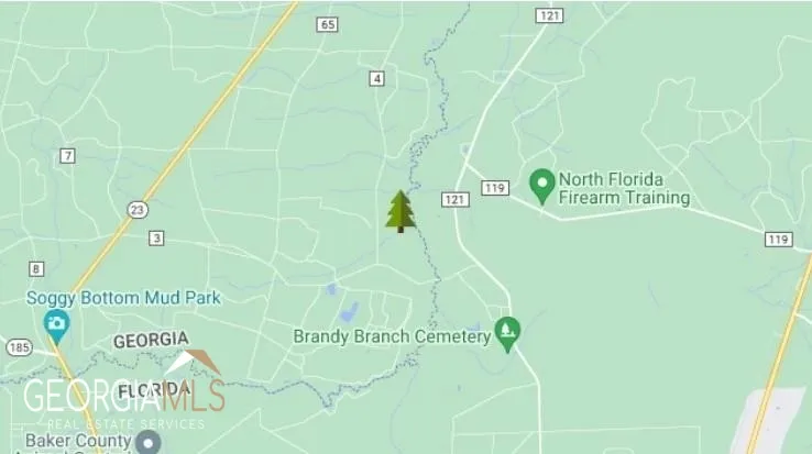 LOT 2 Baker Blvd/cr 4 St. George, GA 31562