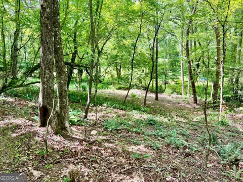 LOT 3 Lower Fox TRL