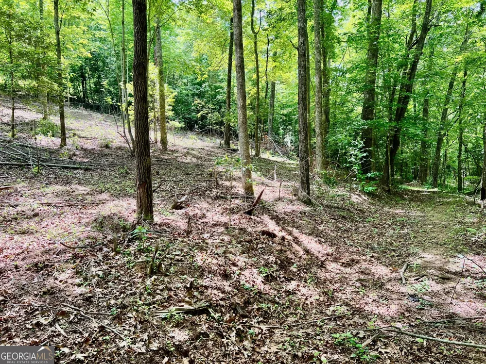LOT 3 Lower Fox TRL Blairsville, GA 30512