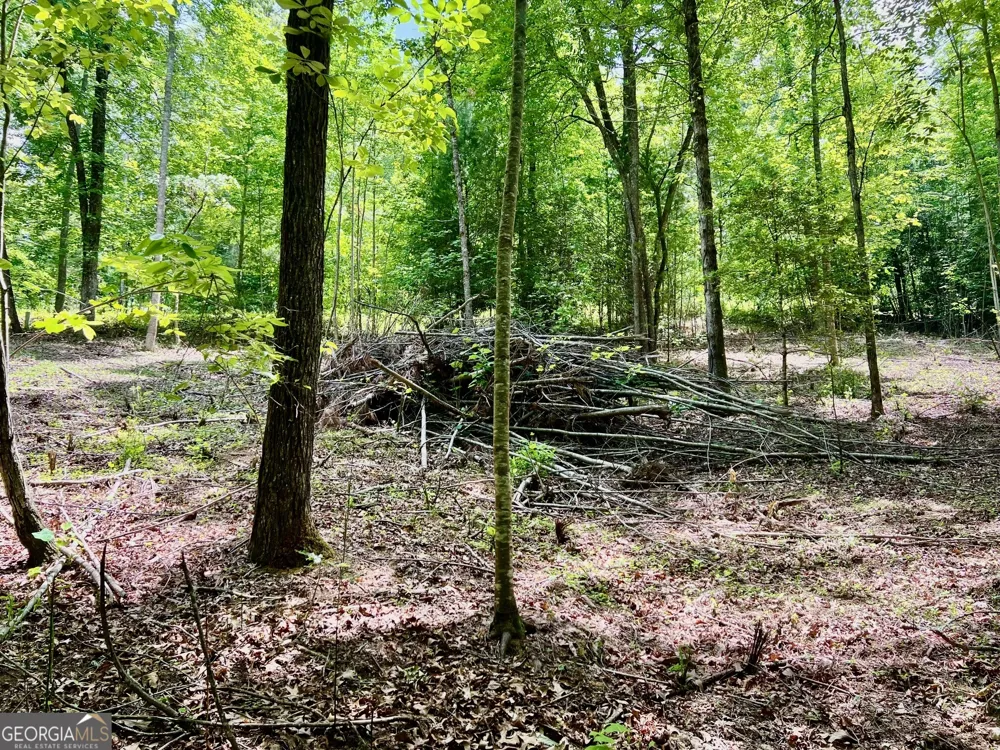 LOT 3 Lower Fox TRL Blairsville, GA 30512