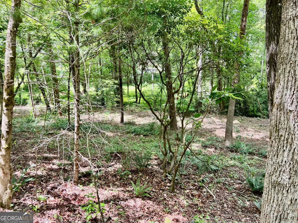 LOT 3 Lower Fox TRL Blairsville, GA 30512