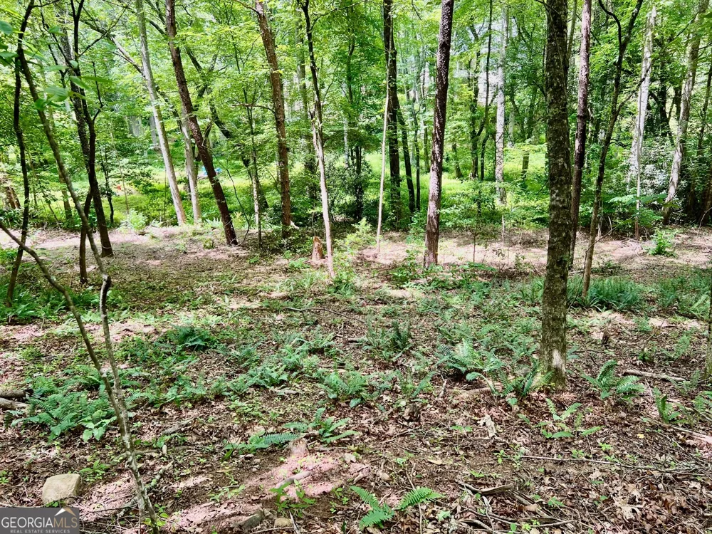 LOT 3 Lower Fox TRL Blairsville, GA 30512