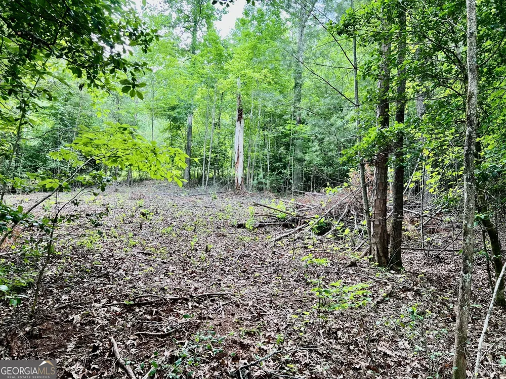 LOT 3 Lower Fox TRL Blairsville, GA 30512