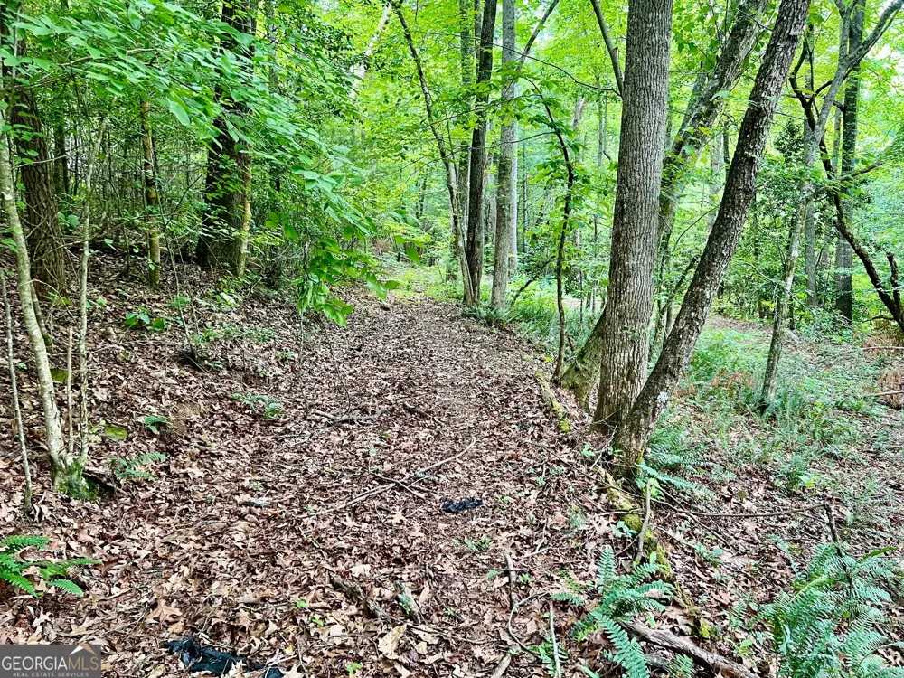 LOT 3 Lower Fox TRL Blairsville, GA 30512
