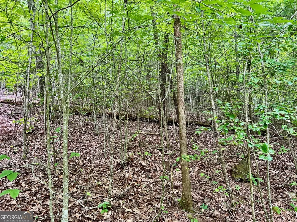 LOT 3 Lower Fox TRL Blairsville, GA 30512