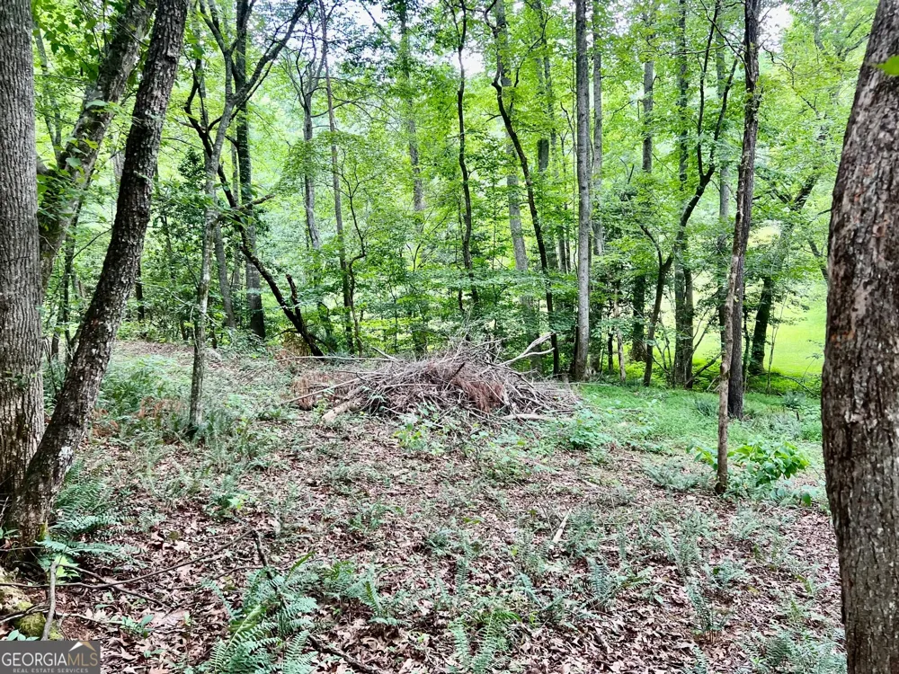 LOT 3 Lower Fox TRL Blairsville, GA 30512