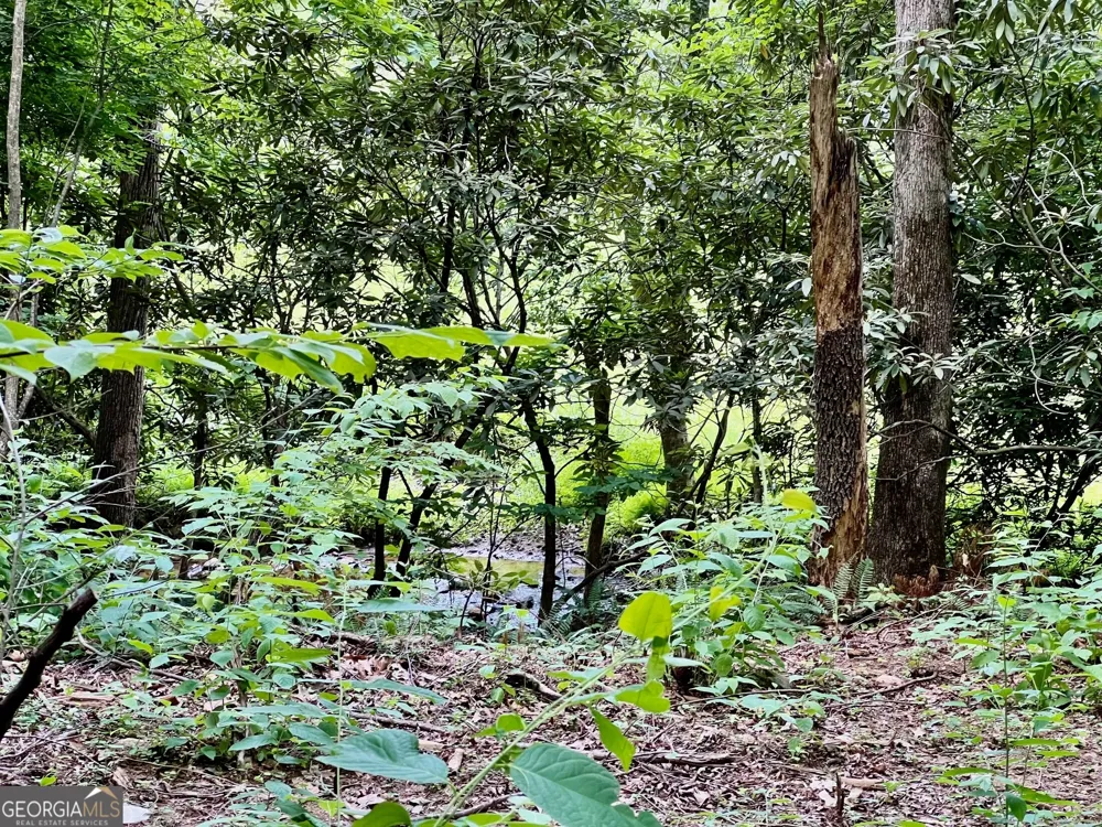 LOT 3 Lower Fox TRL Blairsville, GA 30512