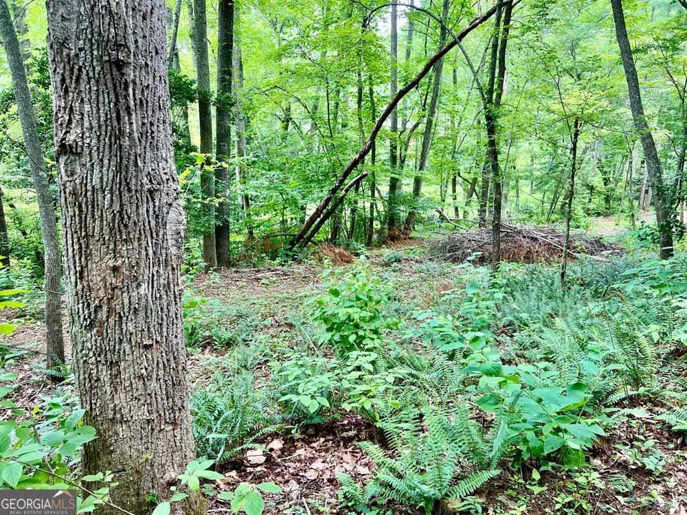 LOT 3 Lower Fox TRL Blairsville, GA 30512