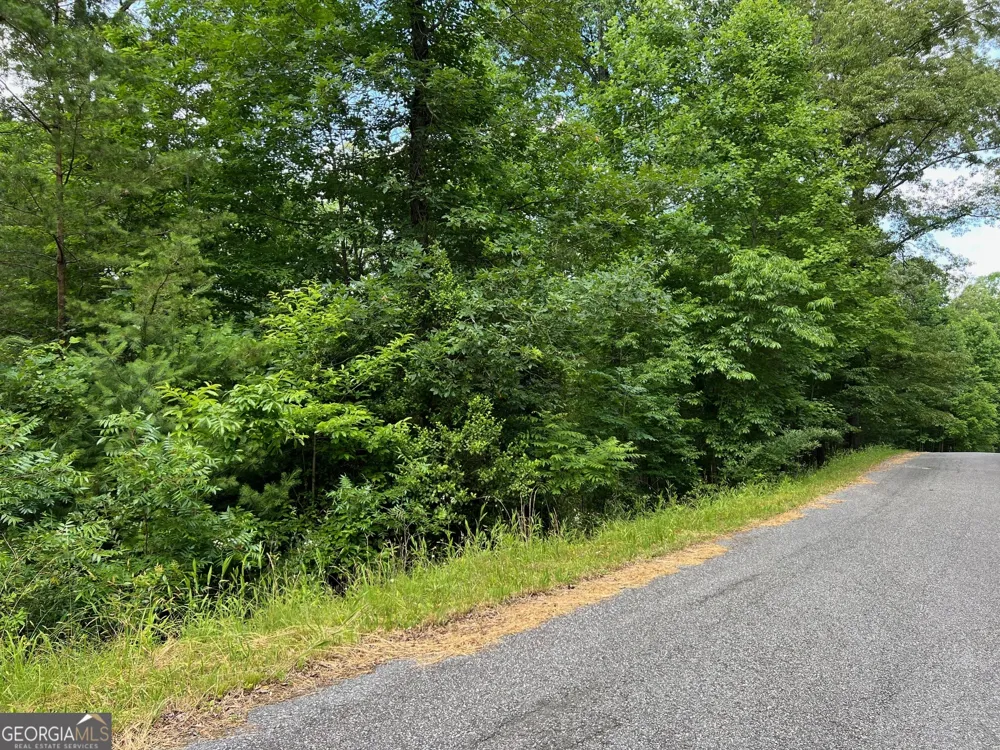 LOT 3 Lower Fox TRL Blairsville, GA 30512