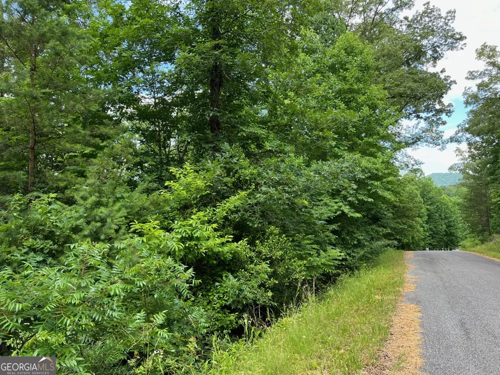 LOT 3 Lower Fox TRL Blairsville, GA 30512
