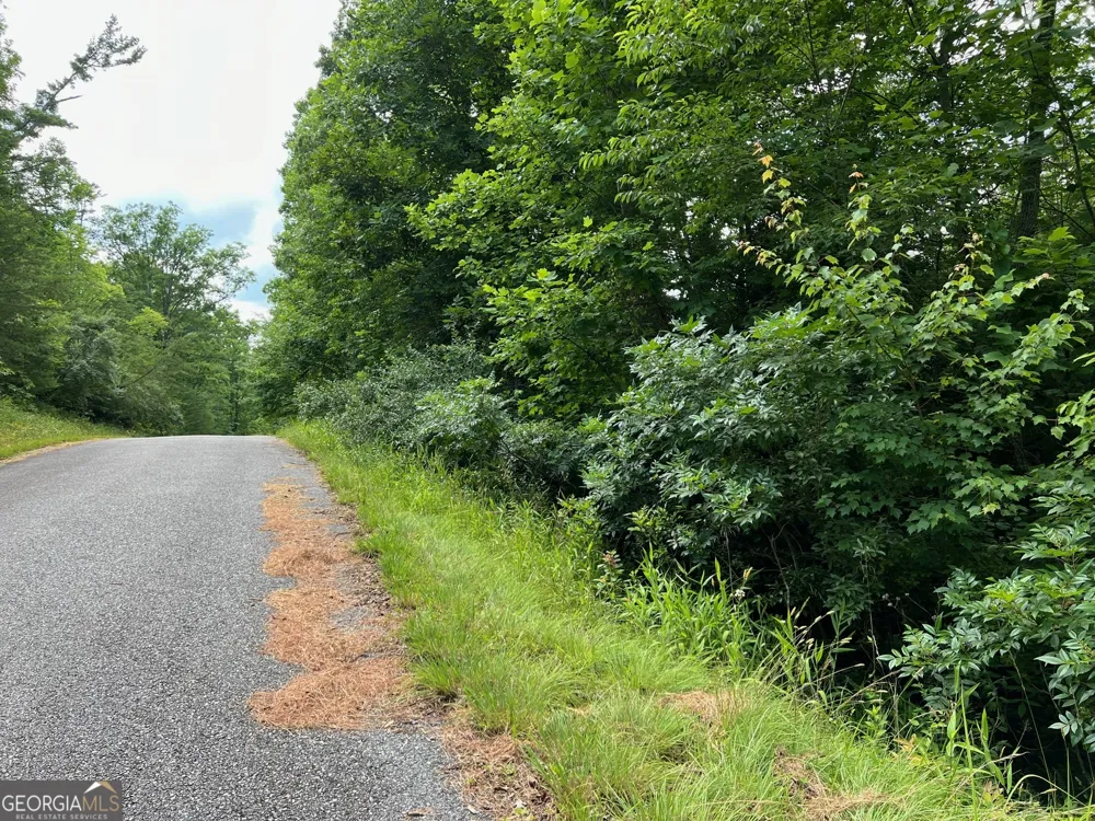 LOT 3 Lower Fox TRL Blairsville, GA 30512