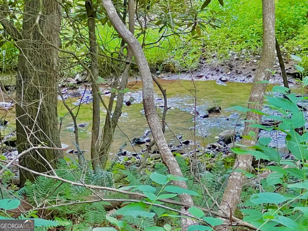 LOT 4 Lower Fox TRL Blairsville, GA 30512