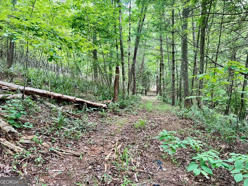 LOT 4 Lower Fox TRL Blairsville, GA 30512