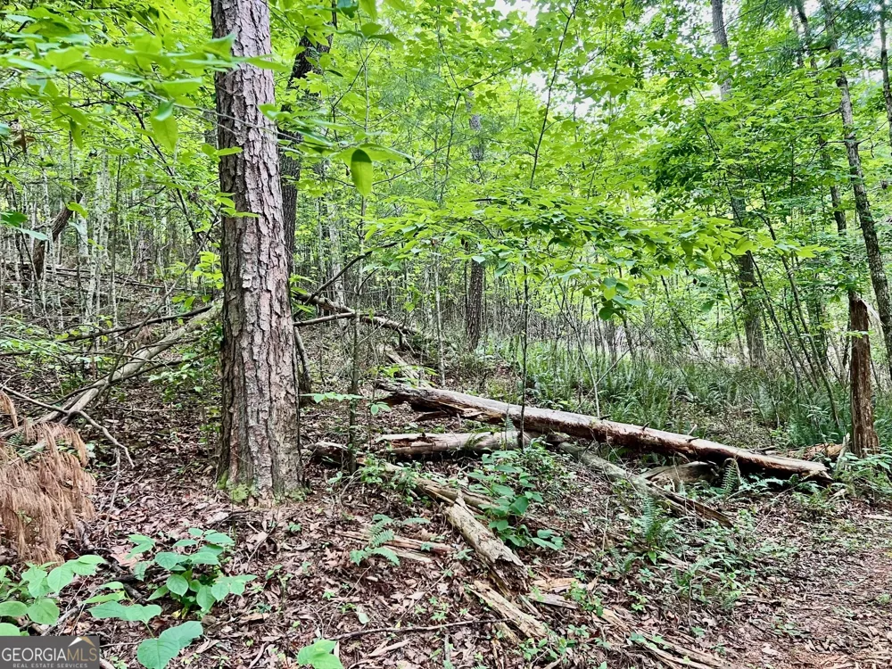 LOT 4 Lower Fox TRL Blairsville, GA 30512