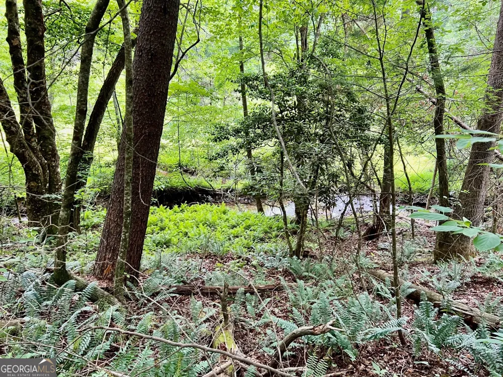 LOT 4 Lower Fox TRL Blairsville, GA 30512