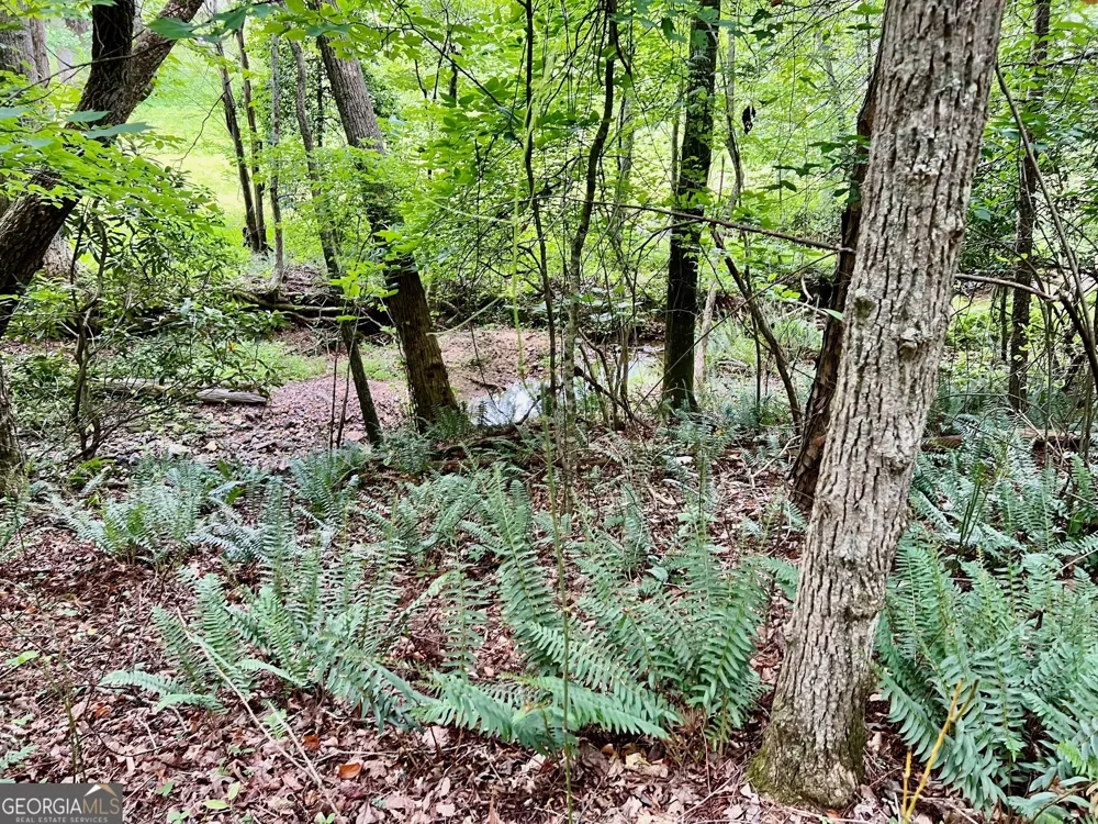 LOT 4 Lower Fox TRL Blairsville, GA 30512