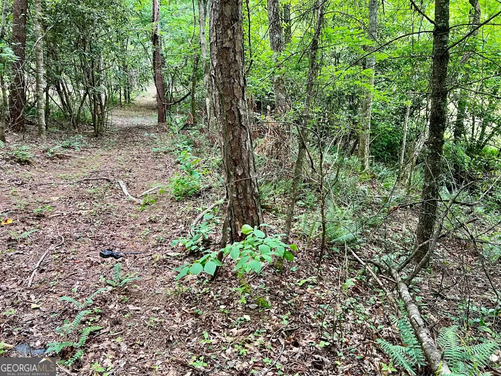 LOT 4 Lower Fox TRL Blairsville, GA 30512