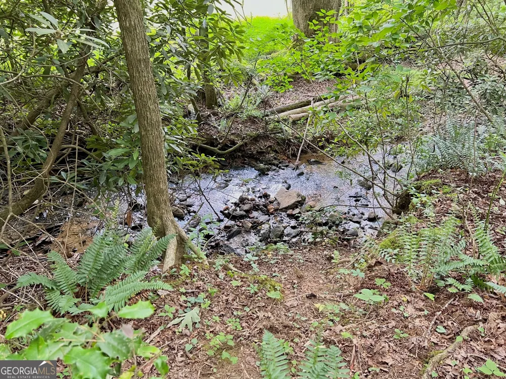 LOT 4 Lower Fox TRL Blairsville, GA 30512