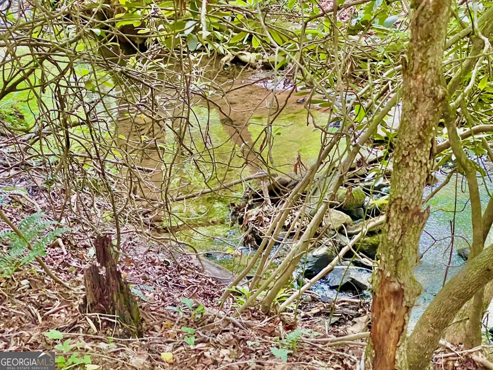LOT 4 Lower Fox TRL Blairsville, GA 30512