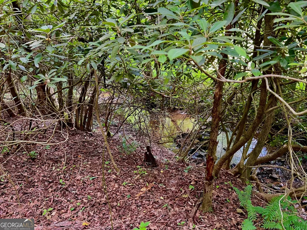 LOT 4 Lower Fox TRL Blairsville, GA 30512