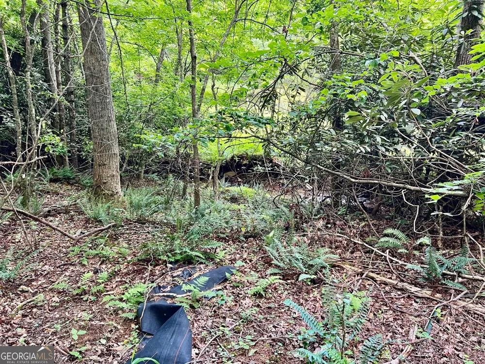 LOT 4 Lower Fox TRL Blairsville, GA 30512