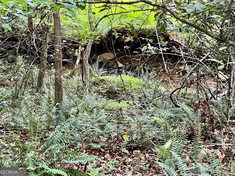 LOT 4 Lower Fox TRL Blairsville, GA 30512