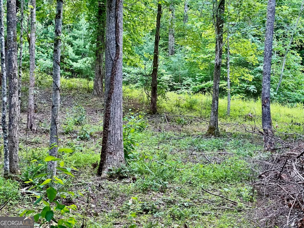 LOT 4 Lower Fox TRL Blairsville, GA 30512