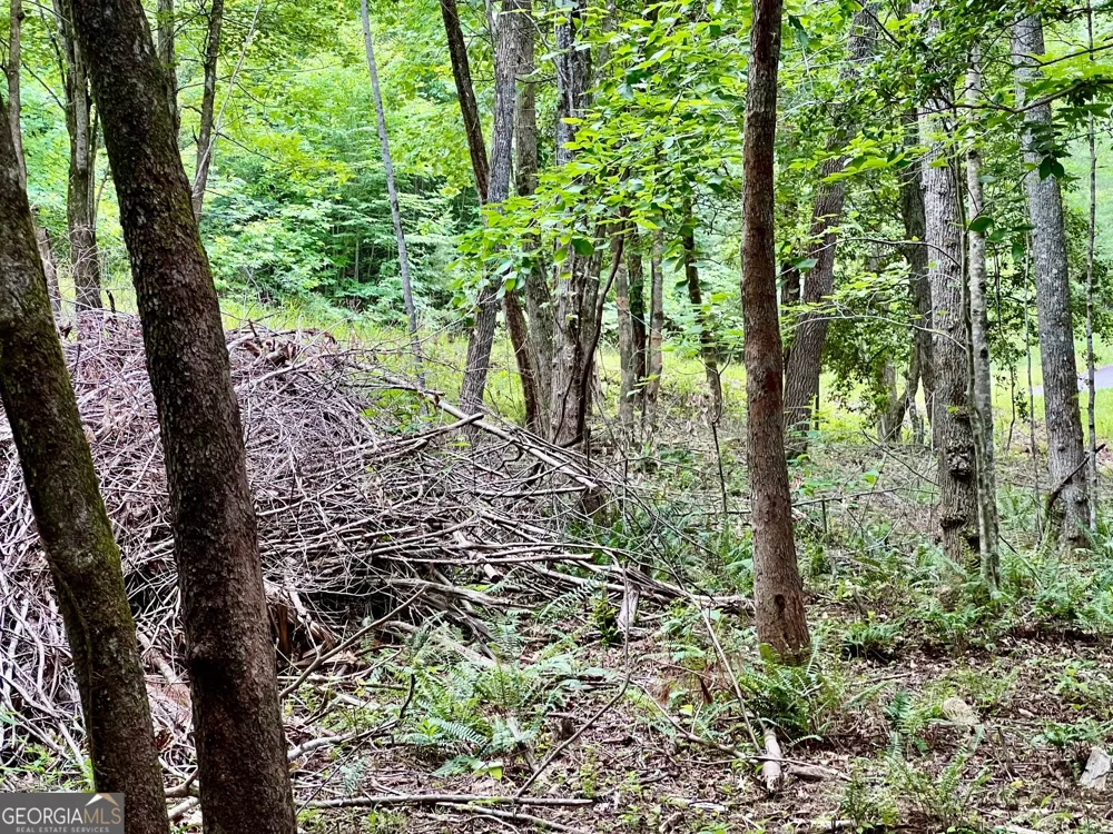 LOT 4 Lower Fox TRL Blairsville, GA 30512