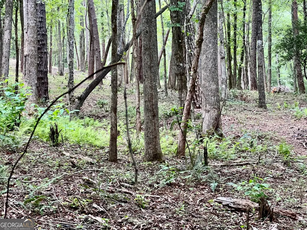 LOT 4 Lower Fox TRL Blairsville, GA 30512
