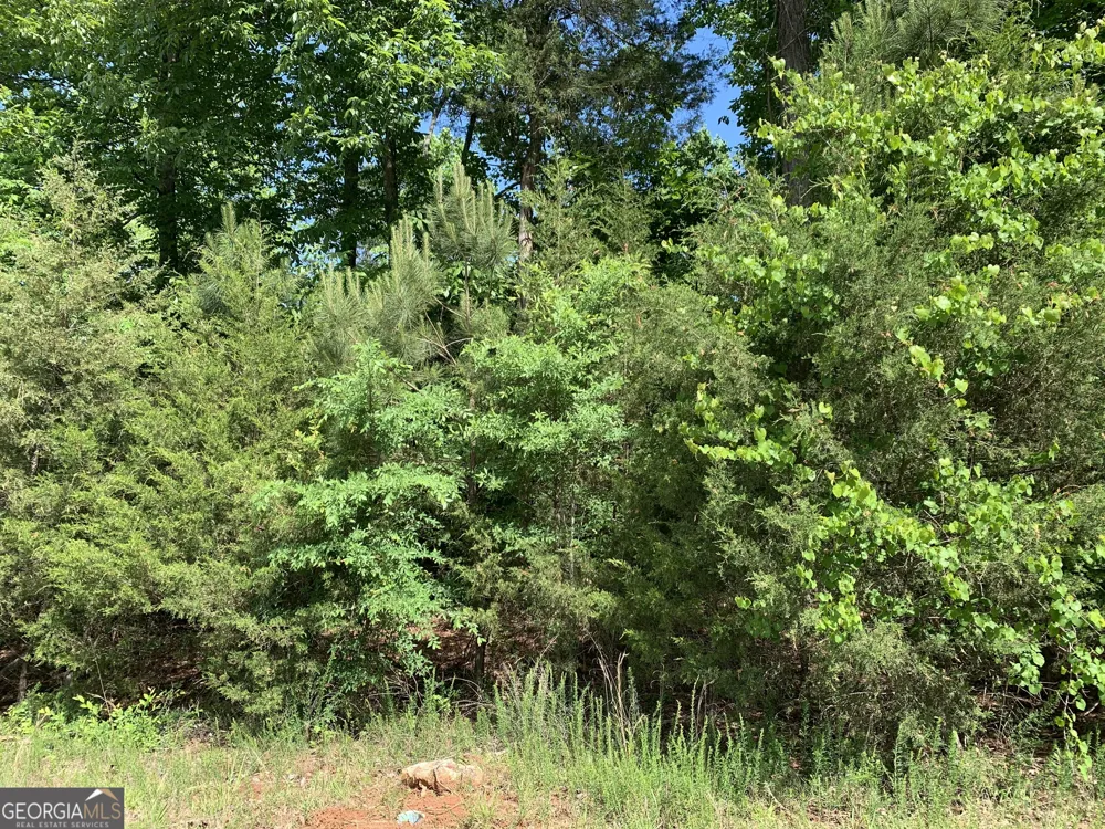 1208 Hornets Bridge DR Elberton, GA 30635