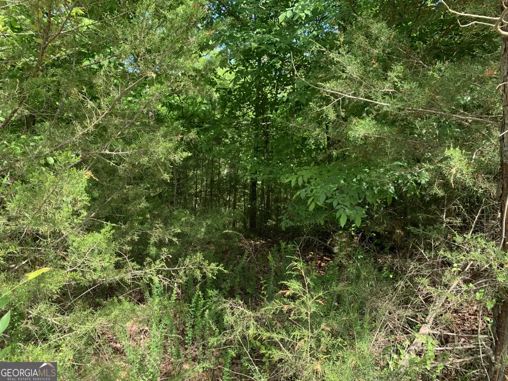 1208 Hornets Bridge DR Elberton, GA 30635