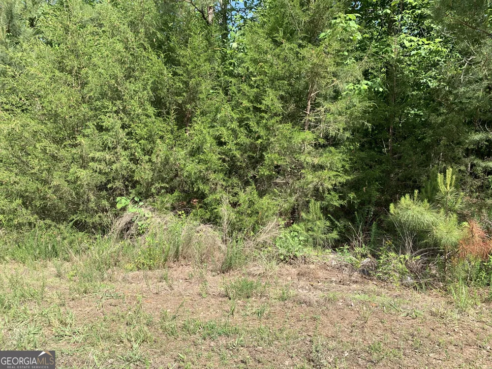 1208 Hornets Bridge DR Elberton, GA 30635